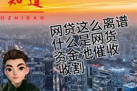 网贷这么离谱，什么是网贷？资金池，催收，收割，沉淀资金上岸