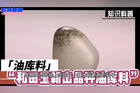 和田玉新出品种油库料，油库皮比较散薄，肉质有厚重感，不够老熟