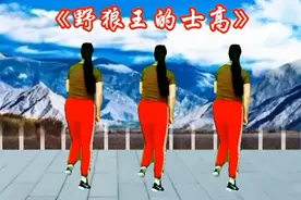 超火劲爆DJ广场舞《野狼王的士高》节奏动感激情，充满青春活力