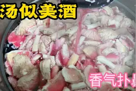 松树林红蘑菇到底能不能吃破解版，谭檀亲自下厨带你看结果！