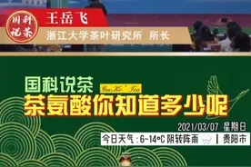 茶氨酸你知道多少呢？