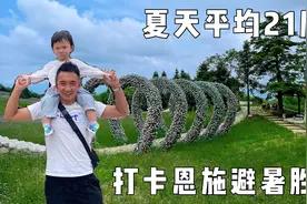 夏天只有21度，海拔1700米山顶还有花海，带女儿打卡恩施避暑胜地