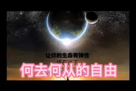 婚姻的真正自由是什么？@西瓜中视频计划视频封面