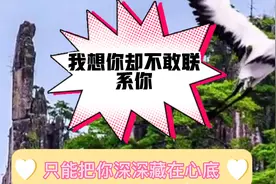 每个人都有自己的小秘密-偷着想念，深深的藏在心里想。视频封面