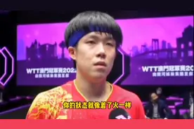 4：3战胜樊振东夺冠！王楚钦赛后一番话刘国梁带头鼓掌，值得托付视频封面