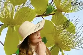常安的一首《百里香》唯美的旋律别有一番风味，给你带来清爽夏日视频封面