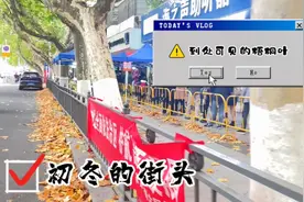 初冬的千年历史文化名城-镇江，大街上落满了梧桐叶