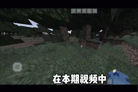 【我的世界】挑战在打方块不掉落的前提下通关我的世界……视频封面