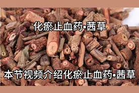 介绍化瘀止血药•茜草，对于血热夹瘀的各种出血证，尤为适宜。视频封面