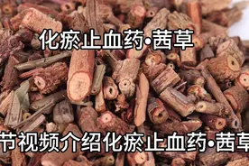 介绍化瘀止血药•茜草，对于血热夹瘀的各种出血证，尤为适宜。视频封面