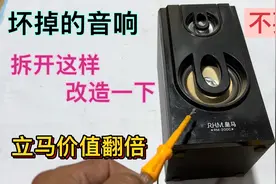 坏掉的音响不要扔，拆掉喇叭接2条线，立马价值翻倍，涨知识了