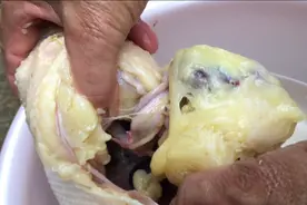 养了一年的公鸡才6斤，肥油都有1.6斤了，朋友出200元还舍不得卖视频封面