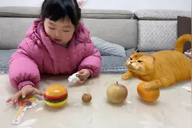 给小猫咪吃什么