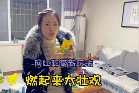 过年的烟花没放完，大甜带娃儿体验网红彩菊新玩法，场面真来劲！