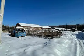 真实东北农村生活，两个大火炕，烧炉子捡柴火，7个月冬天太难熬视频封面