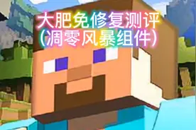 我的世界:修复测评大肥免凋零风暴组件