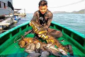 阿邑赶海捕鱼，把海老虎窝一锅端，捕获四条大石斑价值上千元视频封面
