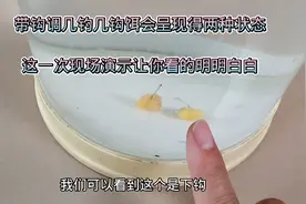 带钩调几钓几有何优势，这一次现场演示让你看得明明白白！视频封面