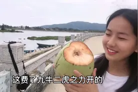 海南路边的椰子随便摘不要钱，本地人当颗草，外地人是个宝