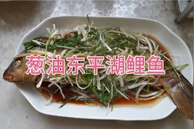 东平湖大鲤鱼，肉质细腻，味道鲜美，做个葱油鱼，又香又鲜视频封面