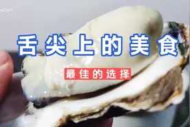 清水煮生蚝，味道真鲜美，这样做，生蚝鲜嫩肥美，舌尖上的美食视频封面