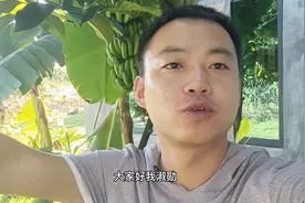 海南买房一定要了解的政策，来海南的一定能帮到你，看是怎么操作视频封面