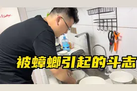 家里惊现蟑螂，大鹏子连夜把家翻个底大清洁，连佩奇都插不上手视频封面
