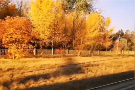 北京西郊地铁线，巴沟到香山，沿线一路深秋美景。视频封面