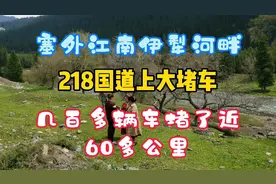 老两口自驾游新疆，在218国道上大堵车，几百辆车堵了近60多公里视频封面