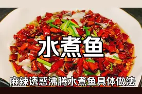 水煮鱼，沸腾鱼，沸腾水煮鱼最正宗的做法，沸腾水煮鱼视频教程视频封面