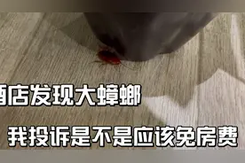 住酒店发现一只大蟑螂，这种情况投诉后会不会免房费视频封面