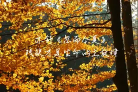 亦舒《忽而今夏》：残缺才是生命的主旋律