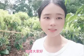 荔枝树剪枝条大概20天了，现在长出很多新嫩芽了，第一次喷药！视频封面