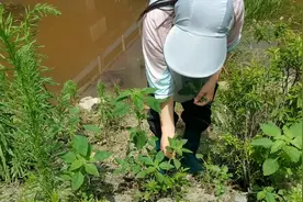 今天采点苋菜遇见了一堆蛇，吓得我把采都扔了😂视频封面