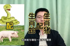十二生肖速配详解：生肖蛇配生肖猪快转给身边属蛇和属猪的人视频封面