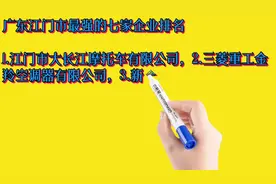 广东江门市最强的七家企业排名视频封面