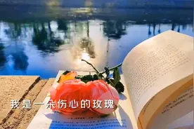 孤独的深夜里，我又想起了你，你走的那天起，喝下了一杯忘情的酒视频封面