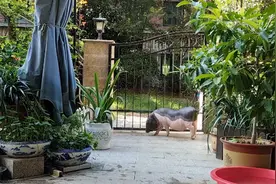 九月是最美好的季节，夏日的遗憾，一定会被秋风温柔化解。