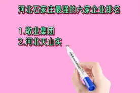 河北石家庄最强的六家企业排名视频封面