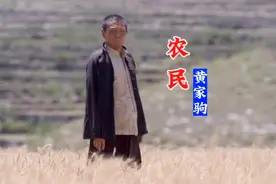 黄家驹《农民》，非常经典的老歌，唱出了农民的辛酸和坚强！视频封面
