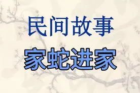家蛇是家里的保护神，家蛇进家是大吉，你们那有这样的说法吗？