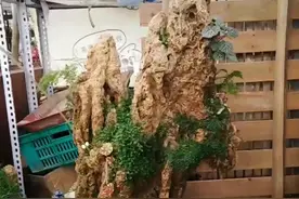 西安灞桥区读书村