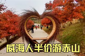 威海网红打卡地，最美的秋景在这里，满山红叶，走遍千山不如赤山视频封面