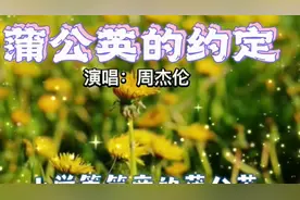 蒲公英的花语是自由、无拘无束，还代表了坚强自信的拼搏精神视频封面