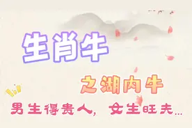 生肖牛:1997年男生易得贵人，女生旺夫...？丁丑年生人点赞收藏视频封面