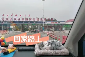 固安检查站第一次这么畅通无阻