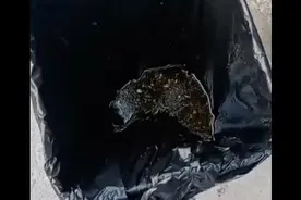 这就是如东县掘港镇泰山路凤凰城业主的素质！乱扔垃圾还骂人！视频封面