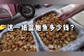 全国最大海货交易市场山东岚山都是整箱卖，这一箱鲍鱼多少钱？视频封面