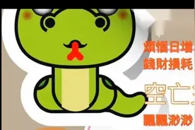 #属蛇人的运势视频封面