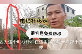 按正常手续申请移走电线杆是免费的，私自请别人移掉的要几千块钱
